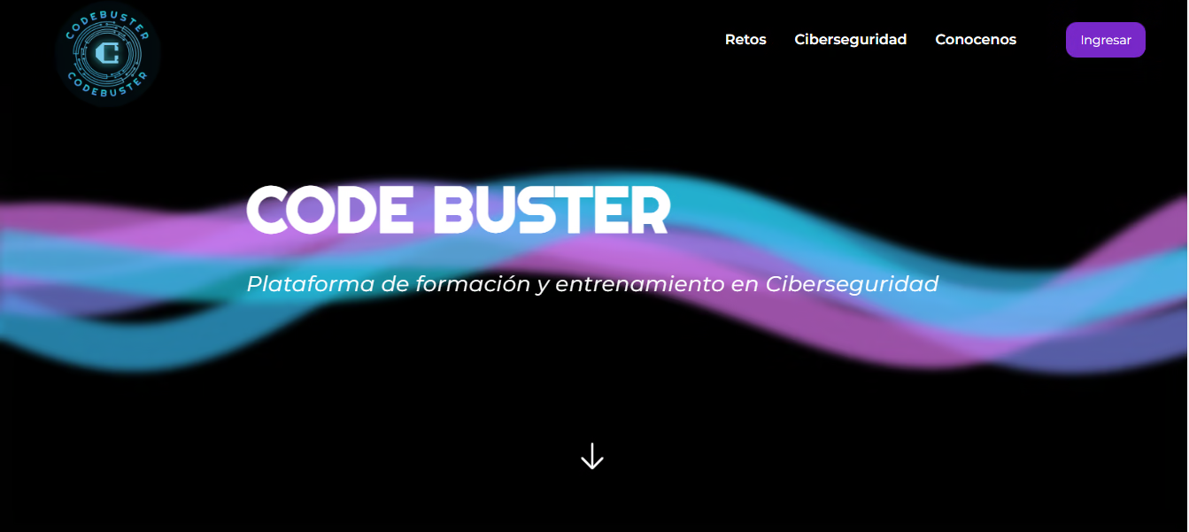 Code Buster